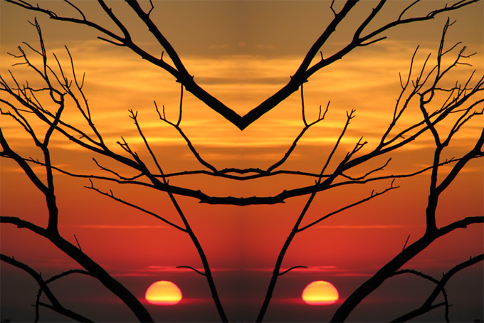 January sunset & branches, side-by-side